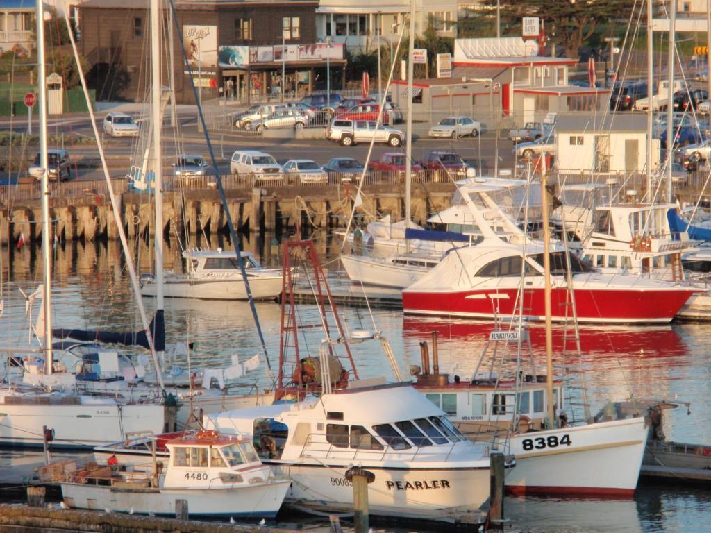 Marina View Apartments Gisborne Bagian luar foto